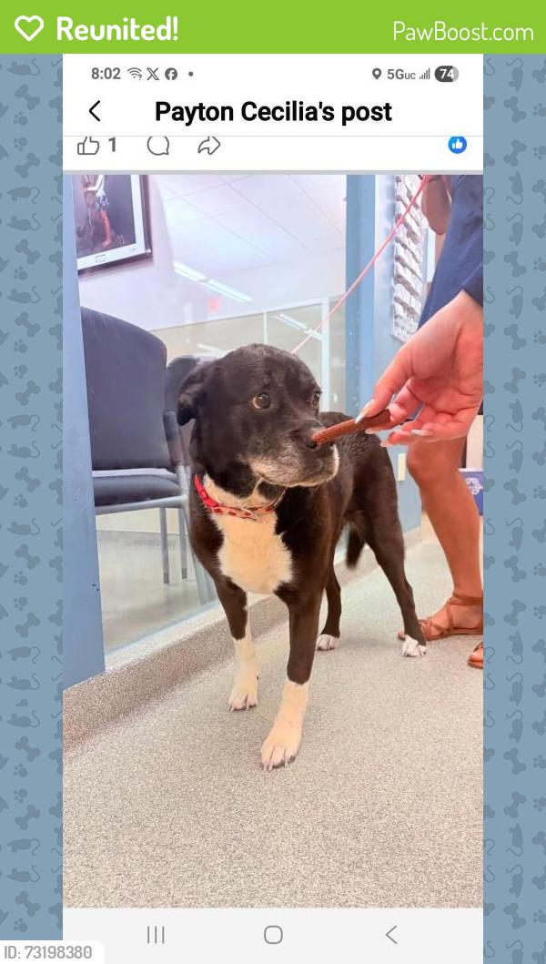 Reunited Female Dog last seen Bridgewater road, Bensalem, PA 19020