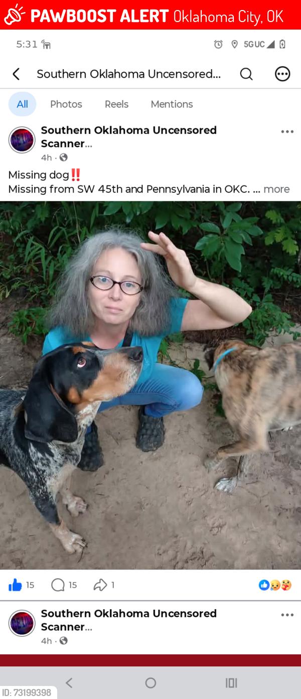Lost Female Dog last seen Sw44th and Pennsylvania, Oklahoma City, OK 73119