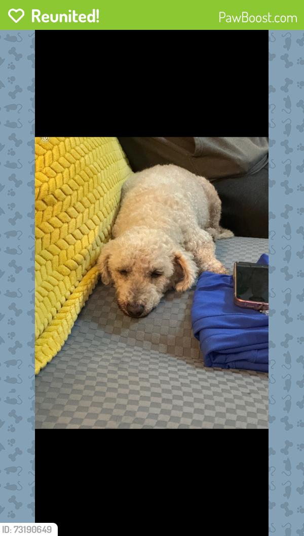 Reunited Male Dog last seen Division St, National City, CA 92113