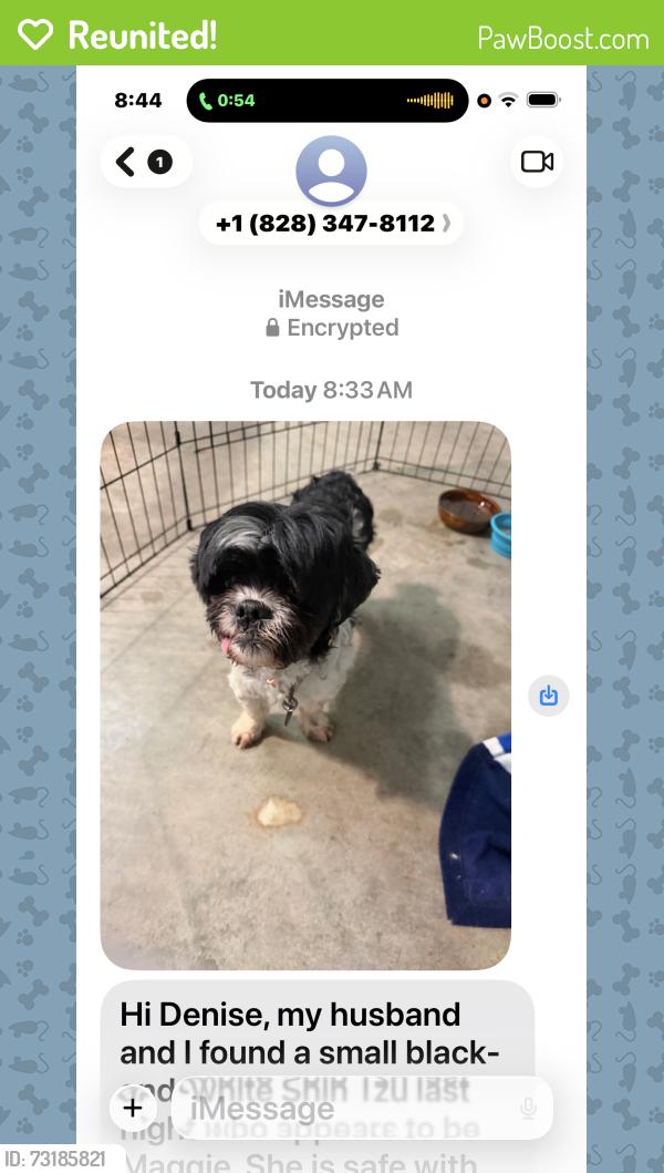 Reunited Female Dog last seen Highlands road and River Rock Rd, Franklin, NC 28734