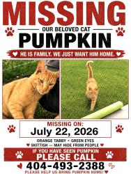 Lost Male Cat last seen County line elementary school, Winder, GA 30680