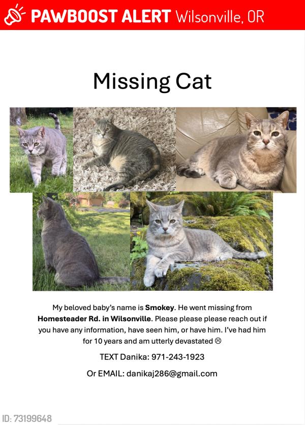Lost Male Cat last seen SW Homesteader Rd. and SW Newland Rd., Wilsonville, OR 97070
