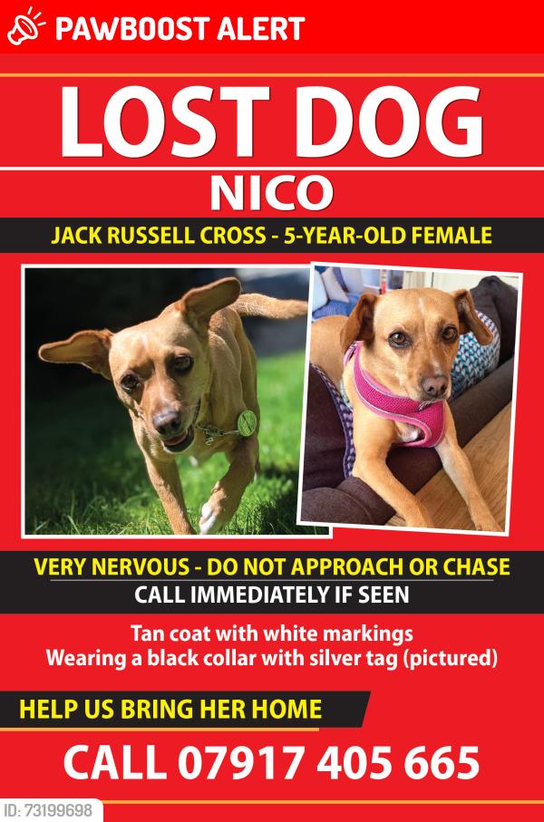 Lost Female Dog last seen Silk Stream Park, Greater London, England 