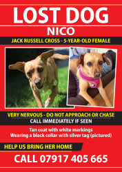 Lost Female Dog last seen Silk Stream Park, Greater London, England 