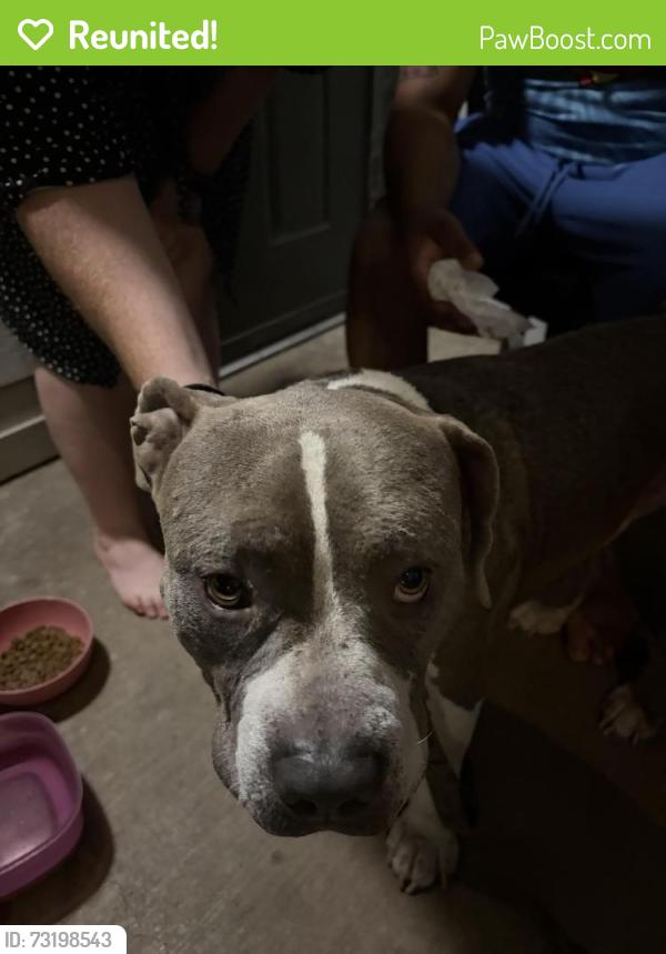 Reunited Male Dog last seen Autzen Stadium, Eugene, OR 97401