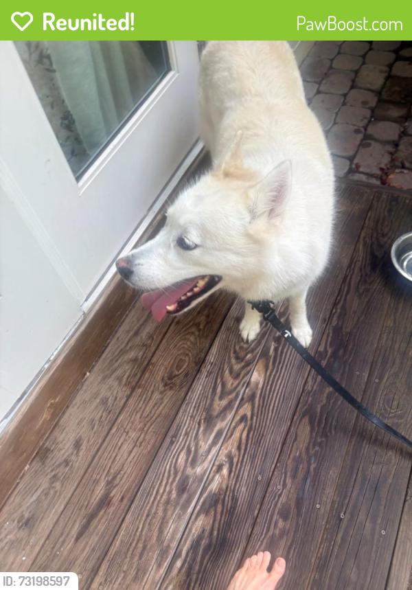 Reunited Unknown Dog last seen Near Clark Lake Rd, Durham, NC 27707