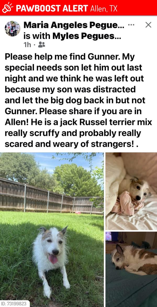 Lost Male Dog last seen Ridgemont dr and SpringCreek Dr, Allen, TX 75002