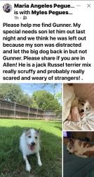 Lost Male Dog last seen Ridgemont dr and SpringCreek Dr, Allen, TX 75002