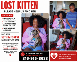 Lost Female Cat last seen E 59th st, Kansas City, MO 64110