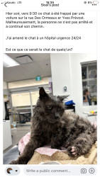 Found/Stray Unknown Cat last seen Rue des Orneaux et boulevard Yves-Prévost, Montréal, QC H1K 2X5