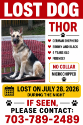 Reunited Male Dog last seen Near the home, Fredericksburg, VA 22408