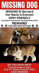 Reunited Female Dog last seen Waste water plant, Granite City, IL 62040