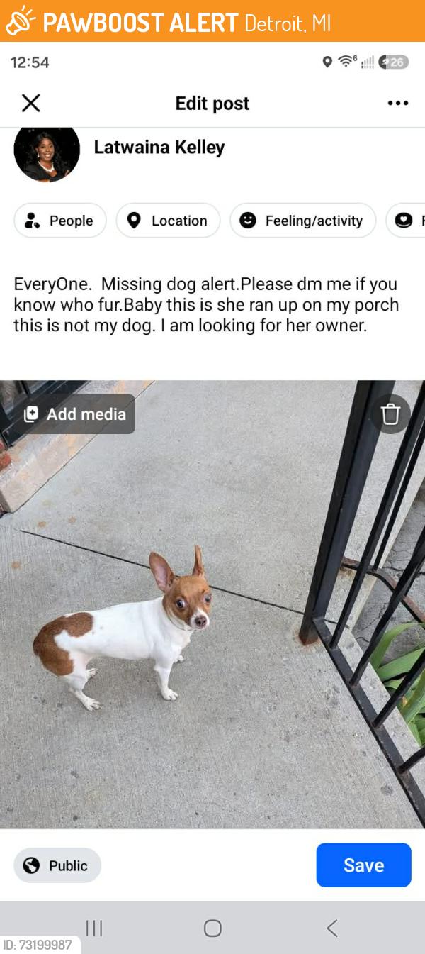 Found/Stray Female Dog last seen greenfield and fenkell, Detroit, MI 48227