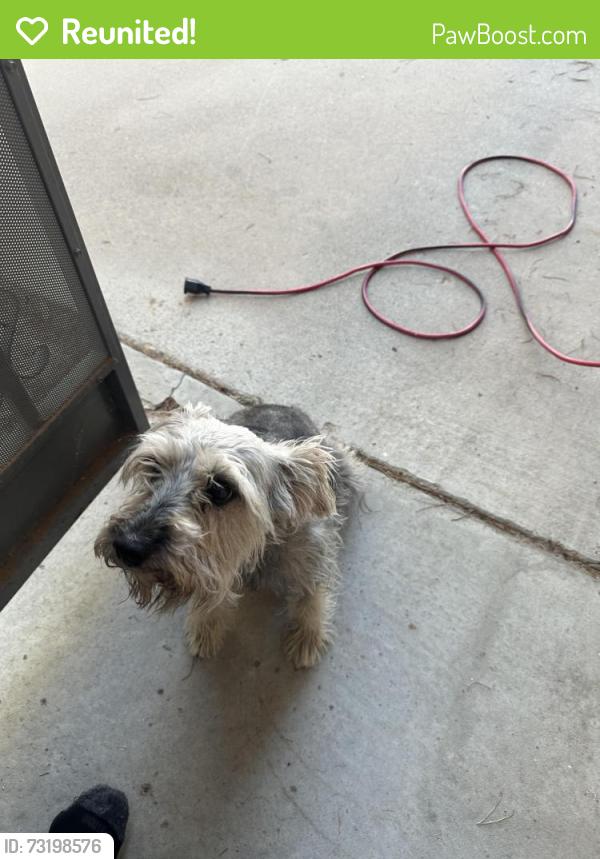Reunited Unknown Dog last seen Montwood and Trawood area, El Paso, TX 79936