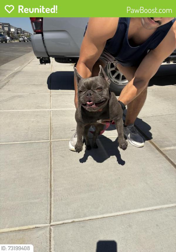 Reunited Female Dog last seen Ashlan & highland, Clovis, CA 93619
