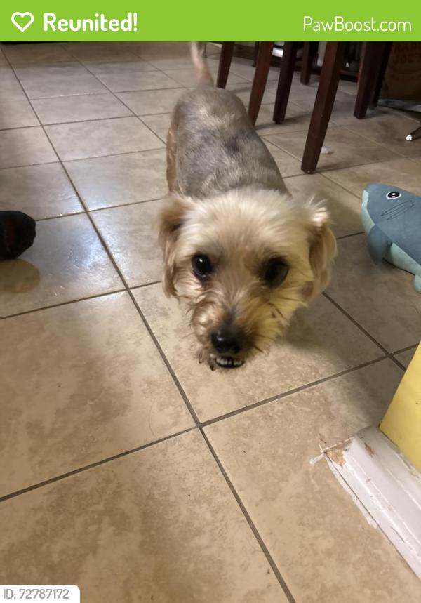 Reunited Male Dog last seen Colony Square, Newport News, VA 23608