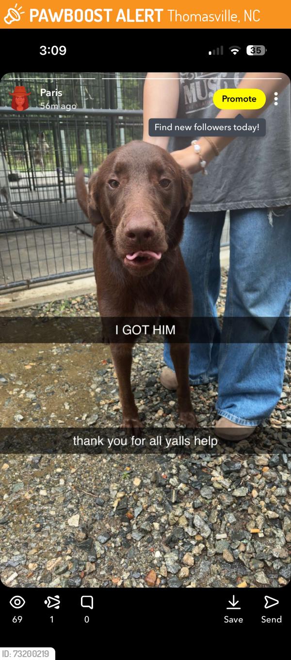Found/Stray Male Dog last seen Near suvillian rd, Thomasville, NC 27360