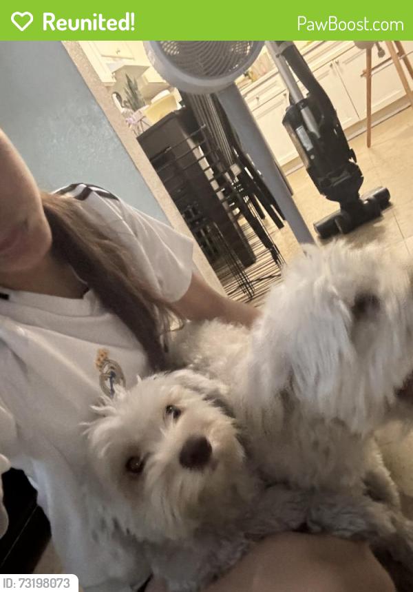 Reunited Female Dog last seen Near N Broadway, Escondido, CA 92026, USA, Escondido, CA 92026