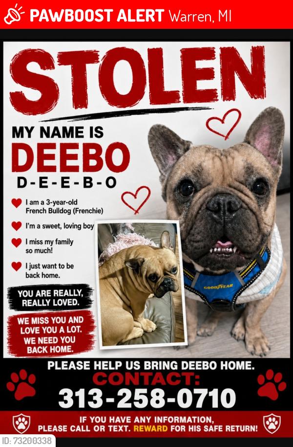 Lost Male Dog last seen 8 mile rd and van Dyke, Warren, MI 48234