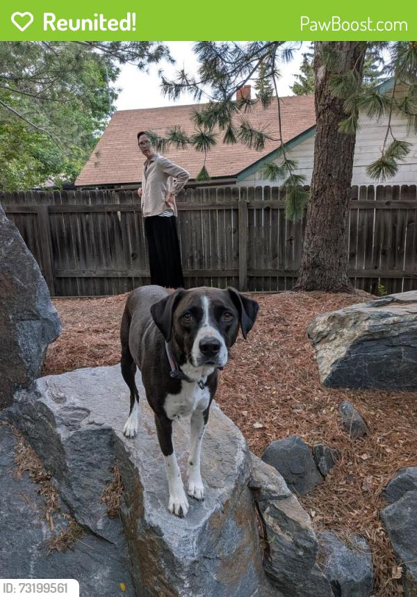Reunited Female Dog last seen Sunset & 9th, Longmont, CO 80501