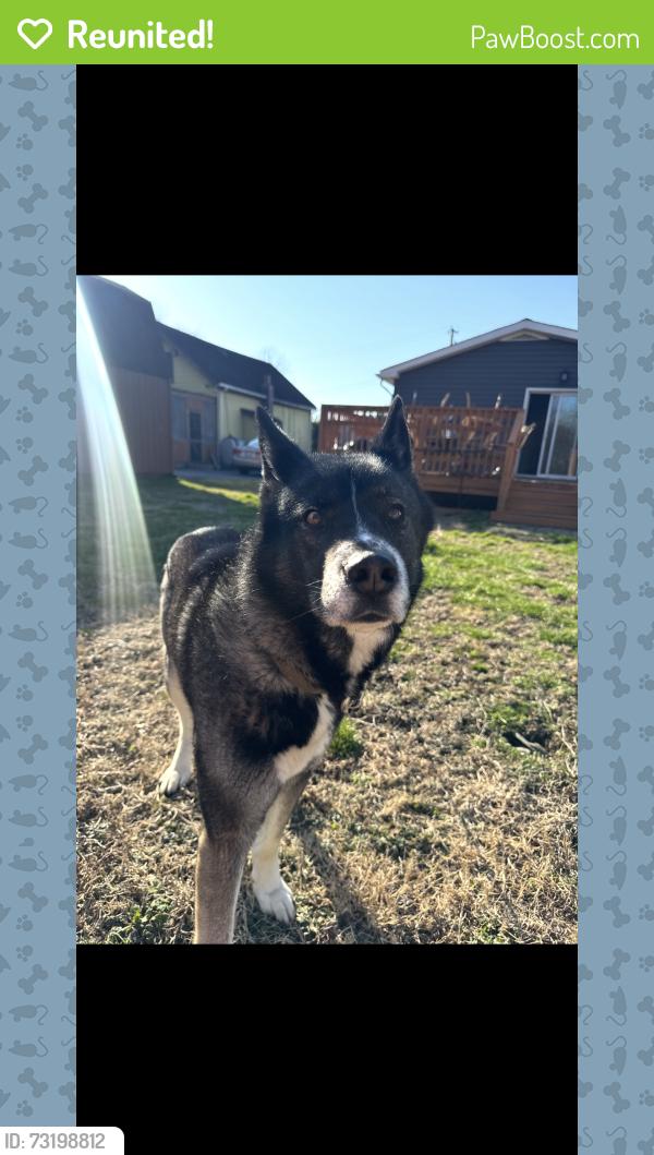 Reunited Male Dog last seen Hardwood Rd, Middle River, MD 21220