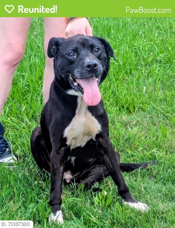 Reunited Male Dog last seen Virginia Loop Ln, Henderson County, NC 28792