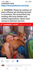 Lost Female Dog last seen Sw 44th & Pennsylvania, Oklahoma City, OK 73119