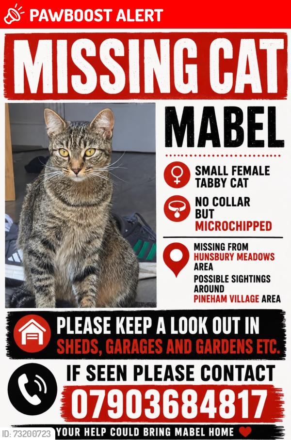 Lost Female Cat last seen Hunsbury Meadows, West Northamptonshire, England 
