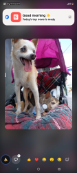 Lost Male Dog last seen MCloud, McLoud, OK 74851