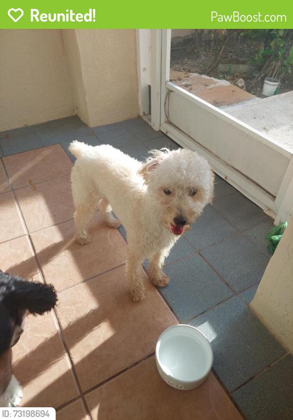Reunited Male Dog last seen Edisto Dr, Palm Beach County, FL 33467