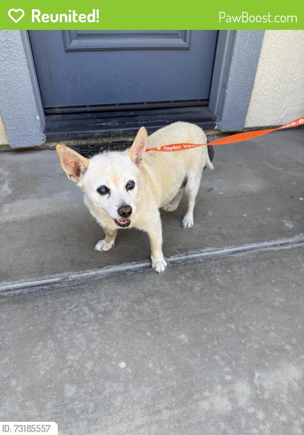 Reunited Unknown Dog last seen Memory Lane and Geer Road, Turlock, CA 95382