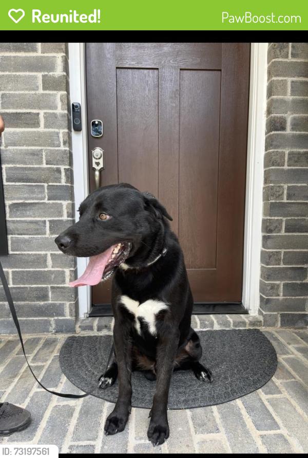 Reunited Male Dog last seen Woodtrek ln, Houston, TX 77015