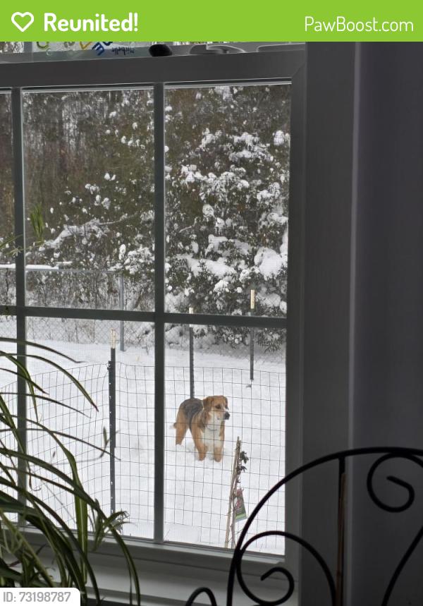 Reunited Female Dog last seen My hse, New Bern, NC 28562