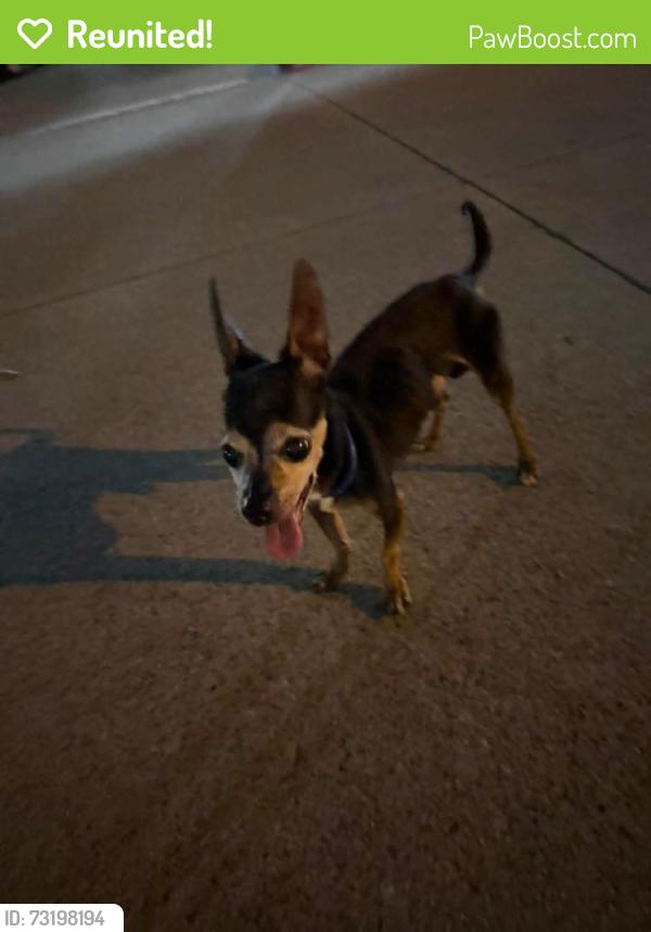 Reunited Male Dog last seen Montgomery apmts Bond St, Irving, TX 75038