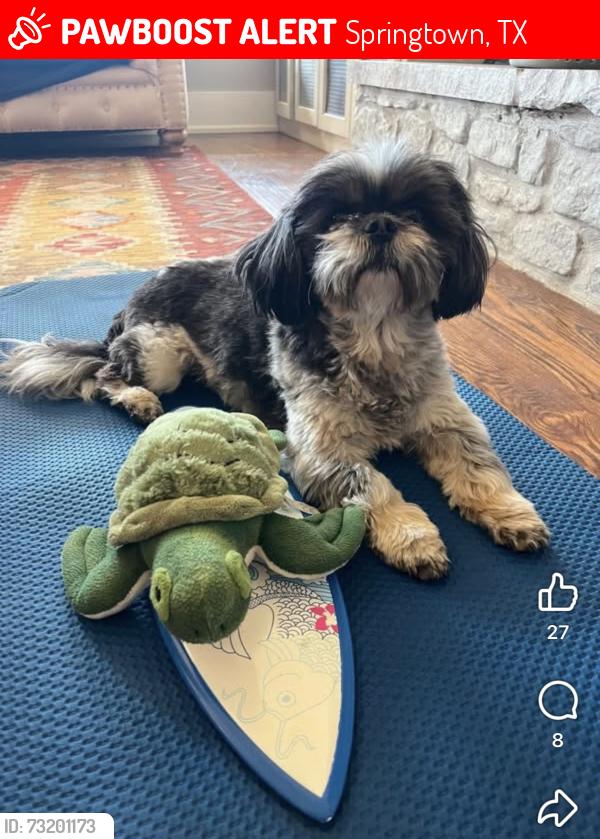Lost Female Dog last seen Erwin/ Ross Lane, Springtown, TX 76082