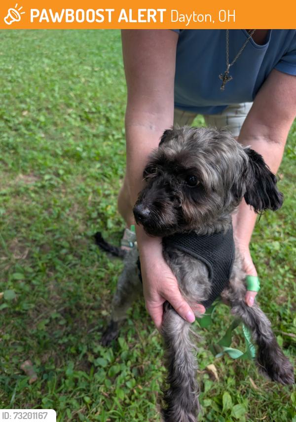 Found/Stray Male Dog last seen Englewood metropark disc golf, Dayton, OH 45414