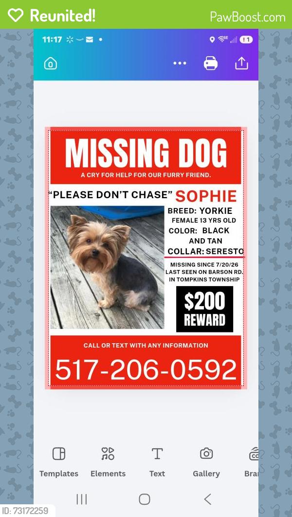Reunited Female Dog last seen Between Tompkins rd and Onondaga rd, Tompkins Township, MI 49277