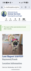 Lost Male Dog last seen Near SW Highland Dr, Gresham, OR 97080, Gresham, OR 97080