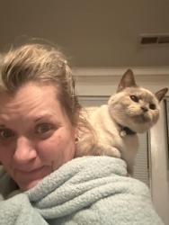 Lost Female Cat last seen Hammond Avenue and Northumberland Avenue, Richmond, VA 23220