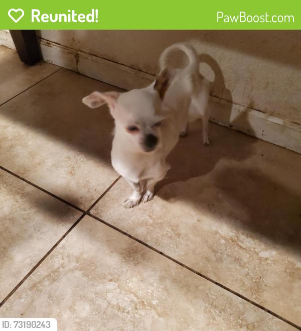 Reunited Male Dog last seen Malta Ct and Covert Rd, Salida, Ca, Salida, CA 95368
