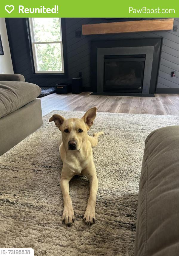 Reunited Male Dog last seen Summer Breeze and Truslow, Fredericksburg, VA 22406
