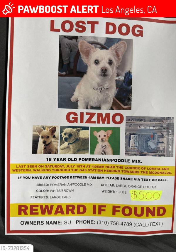 Lost Male Dog last seen Gas station on corner of Western Ave., and Lomita Blvd., Lomita, CA, Los Angeles, CA 90717