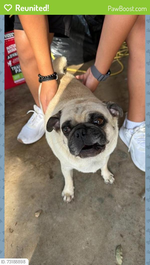 Reunited Male Dog last seen Strong Box Way, San Antonio, TX 78254