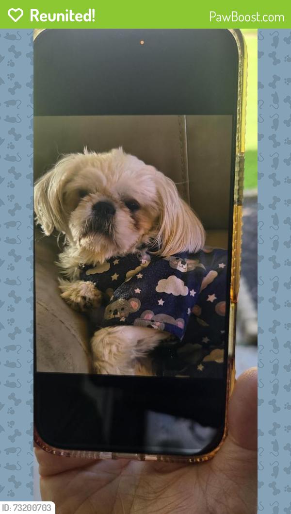 Reunited Male Dog last seen Sagebluff and kirkville, Harris County, TX 77089