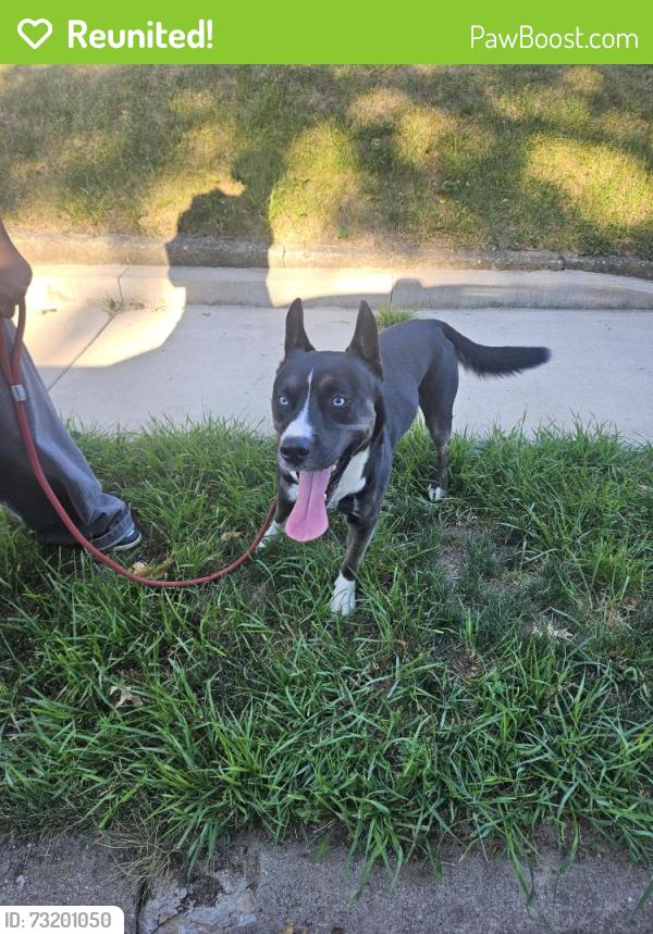 Reunited Male Dog last seen Corner of greenwood and robert, Rockford, IL 61107