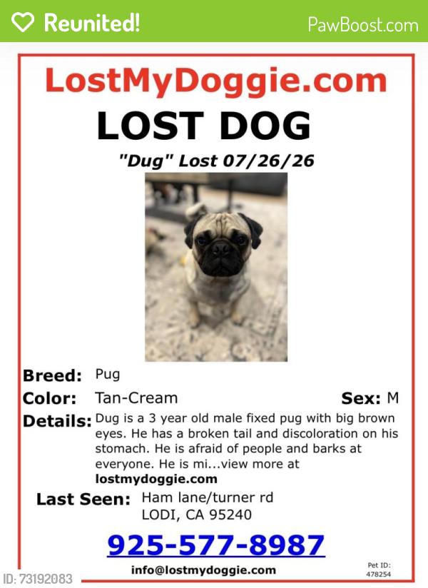 Reunited Male Dog last seen Ham ln/turner rd lodi, Lodi, CA 95240