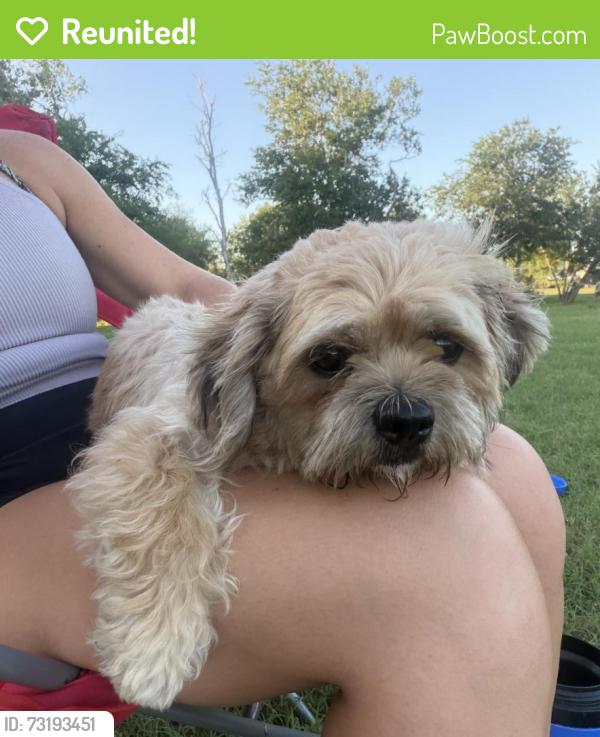 Reunited Female Dog last seen Benelli Drive, New Braunfels, TX 78130