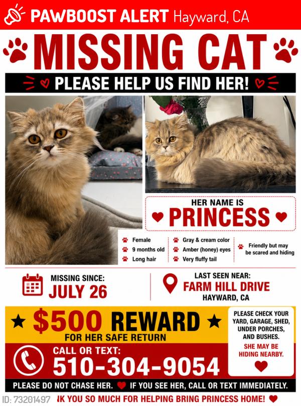 Lost Female Cat last seen Near farm hill drive Hayward CA 94542, Hayward, CA 94542
