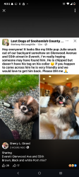 Lost Male Dog last seen 55th and Glenwood, Vancouver, WA 98662