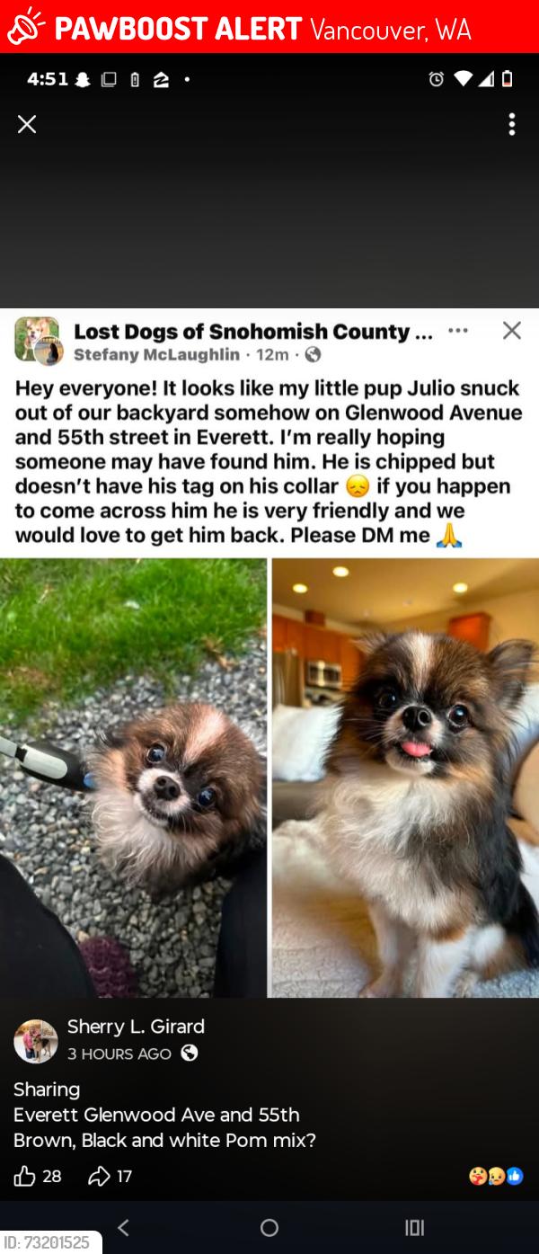 Lost Male Dog last seen 55th and Glenwood, Vancouver, WA 98662